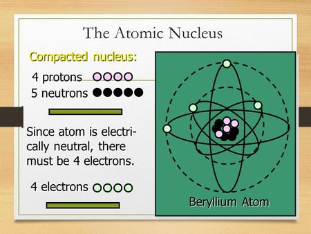 The Atomic Nucleus Beryllium Atom Compacted nucleus: 4 protons 5 neutrons Since atom is electri- cally neutral, there must be 4 electrons. 4 electrons.