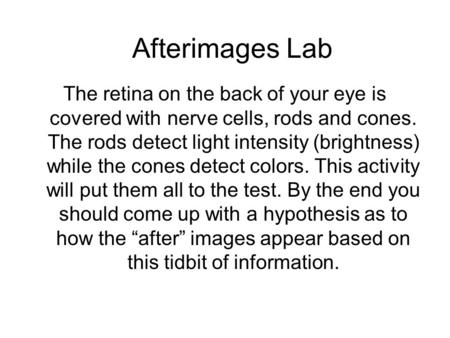 The retina on the back of your eye is covered with nerve cells, rods and cones. The rods detect light intensity (brightness) while the cones detect colors.