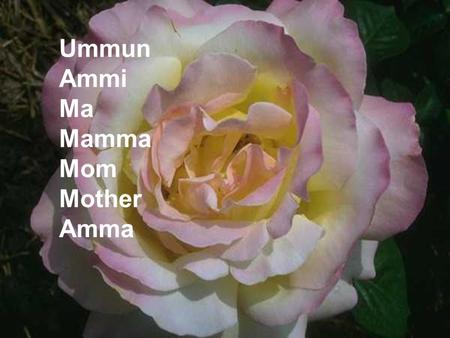 Ummun Ammi Ma Mamma Mom Mother Amma. She was there every time you cried, when a baby. YOU started growing!