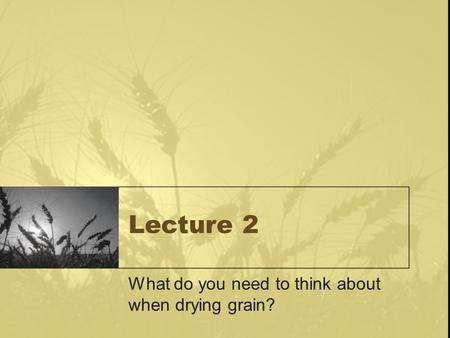 What do you need to think about when drying grain?