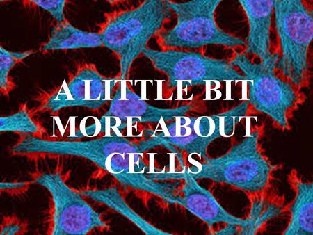 A LITTLE BIT MORE ABOUT CELLS. ……. DON´T HAVE NUCLEUS.