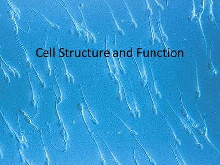 Cell Structure and Function. Cells Smallest living unit Most are microscopic.