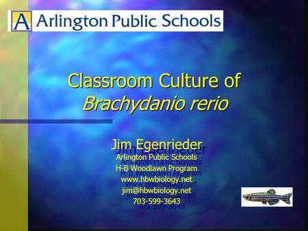 Classroom Culture of Brachydanio rerio Jim Egenrieder Arlington Public Schools H-B Woodlawn Program  703-599-3643.