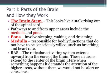 Part I: Parts of the Brain and How they Work The Brain Stem – This looks like a stalk rising out of the spinal cord. Pathways to and from upper areas include.