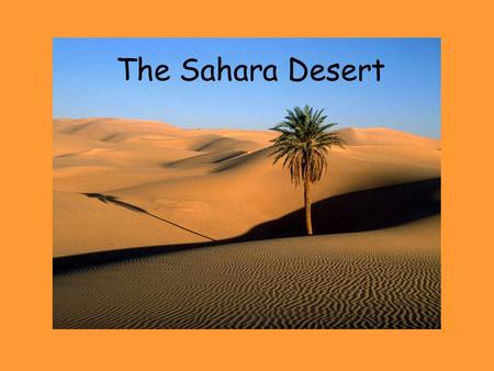 The Sahara Desert. The Sahara Desert is the second largest desert in the world. It is in North Africa and covers 11 different African countries.