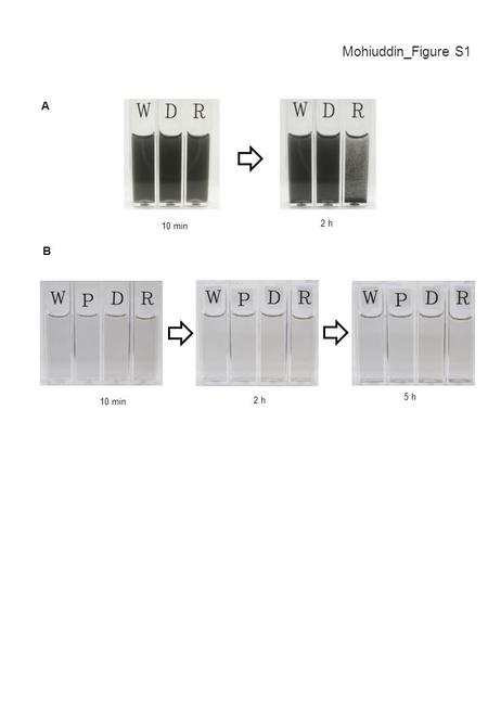 Mohiuddin_Figure S1 10 min 2 h A B 10 min 2 h 5 h.