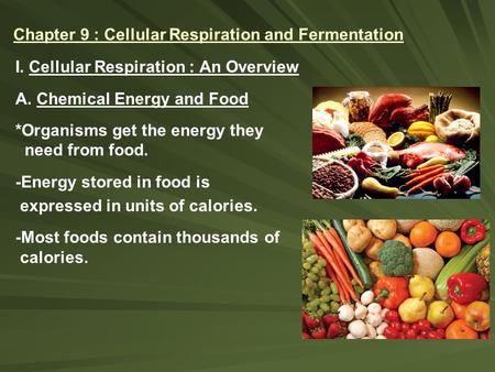 Chapter 9 : Cellular Respiration and Fermentation I. Cellular Respiration : An Overview A. Chemical Energy and Food *Organisms get the energy they need.