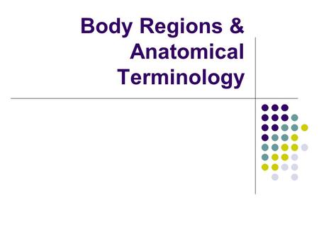 Body Regions & Anatomical Terminology