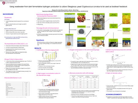 (Picture from Martek Annual Report) Oil Crops Algal Fermentation Process Cow Stomach “Extractor” Cull Potatoes Omega-3 food Biodiesel Crude Glycerol Feed.