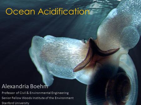 Ocean Acidification Alexandria Boehm Professor of Civil & Environmental Engineering Senior Fellow Woods Institute of the Environment Stanford University.