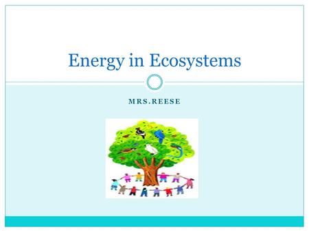 Energy in Ecosystems Mrs.Reese.