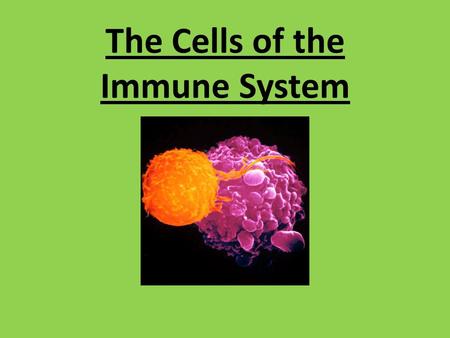 The Cells of the Immune System