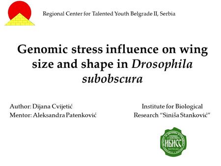 Genomic stress influence on wing size and shape in Drosophila subobscura Author: Dijana Cvijetić Mentor: Aleksandra Patenković Institute for Biological.