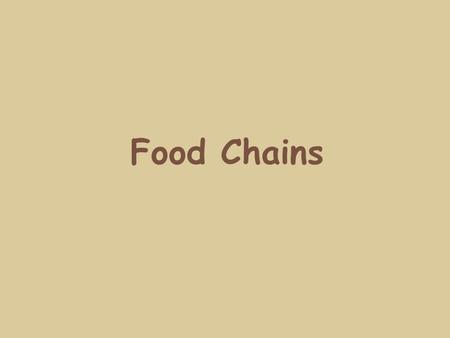 Food Chains.