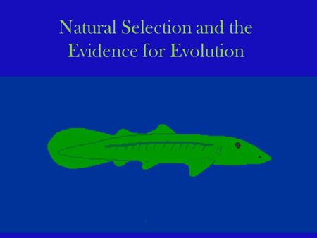 Natural Selection and the Evidence for Evolution.