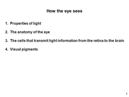 How the eye sees 1.Properties of light 2.The anatomy of the eye 3.The cells that transmit light information from the retina to the brain 4.Visual pigments.