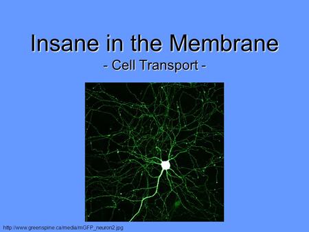 Insane in the Membrane - Cell Transport -