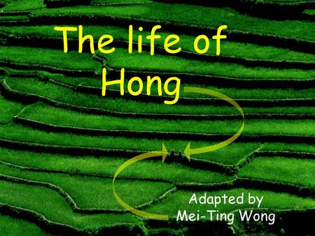 The life of Hong Adapted by Mei-Ting Wong A long time ago, there was a farmer. His name was Hong. He lived in China.