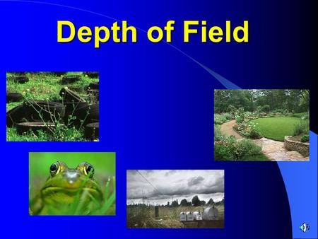 Depth of Field. Understanding how to control the depth of field in a photograph is an essential skill for you to learn and apply to your own photographs.