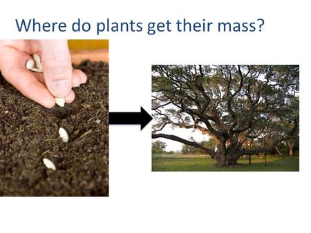 Where do plants get their mass? An acre of pine trees (~120 trees) has the potential to take in roughly 5 tons of CO2 per year. How much is a ton?