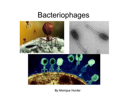 Bacteriophages By Monique Hunter.  Bacteriophages or phages are viruses that infect bacteria.  In 1917, French-canadian microbiologist Felix d’Herelle.