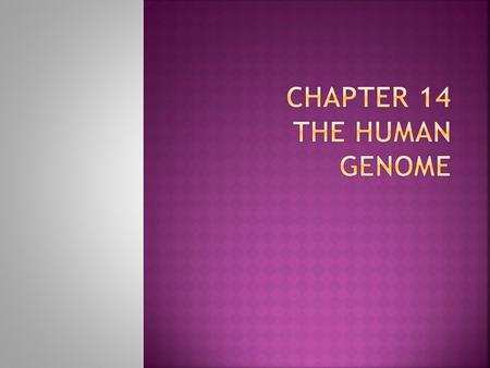  We need to look into cells for the answer  Analyzing chromsomes enables biologists to look at the human genome  Karyotype is a picture of chromosomes.