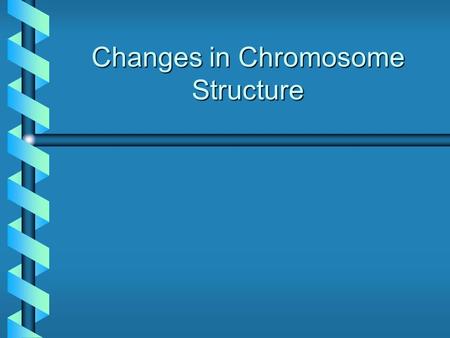 Changes in Chromosome Structure