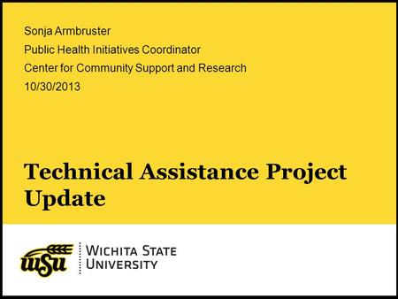 1 Technical Assistance Project Update Sonja Armbruster Public Health Initiatives Coordinator Center for Community Support and Research 10/30/2013.