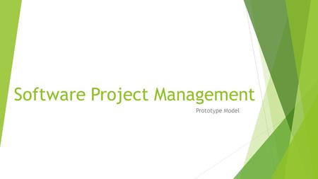 Software Project Management