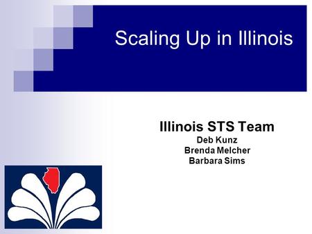 Scaling Up in Illinois Illinois STS Team Deb Kunz Brenda Melcher Barbara Sims.