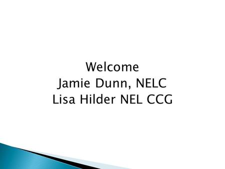 Welcome Jamie Dunn, NELC Lisa Hilder NEL CCG.  Outline how the commission came about  The commissioners vision for future VCS infrastructure  Outline.