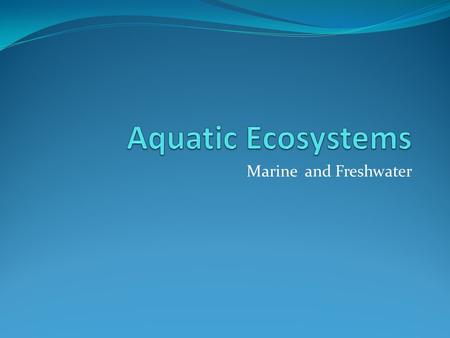 Marine and Freshwater. Marine Ecosystems Salty water Covers approx. 75% of the Earth Phytoplankton are the most abundant producers (perform photosynthesis)—microscopic.