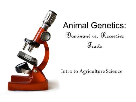 Animal Genetics: Animal Genetics: Dominant vs. Recessive Traits Intro to Agriculture Science.