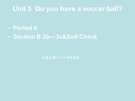 Unit 5 Do you have a soccer ball? Period 4: Section B 2b—3c&Self Check 长春市第八十七中学东校.