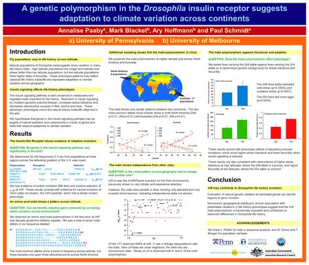 A genetic polymorphism in the Drosophila insulin receptor suggests adaptation to climate variation across continents Annalise Paaby a, Mark Blacket b,