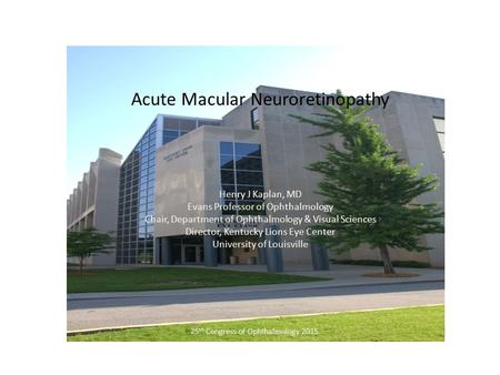 Acute Macular Neuroretinopathy