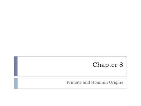 Chapter 8 Primate and Hominin Origins. What are these?  Primate  Australopithecine  Homo  Hominin.