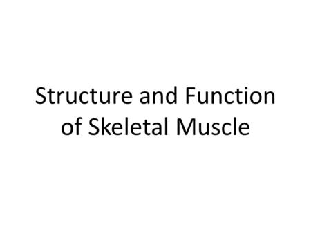 Structure and Function of Skeletal Muscle