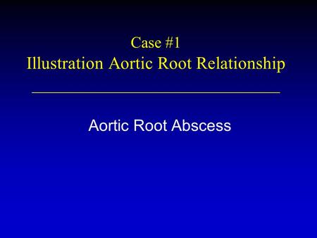 Case #1 Illustration Aortic Root Relationship