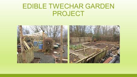 EDIBLE TWECHAR GARDEN PROJECT. TRAINING GARDEN UNDER CONSTRUCTION.