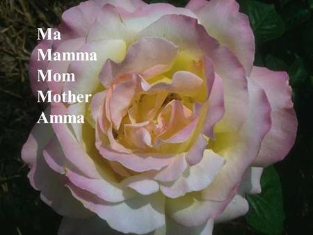 Ma Mamma Mom Mother Amma She was there every time you cried, when a baby. YOU started growing!