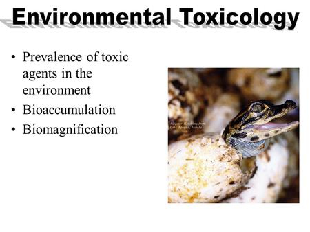 Environmental Toxicology