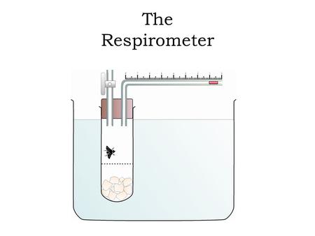 The Respirometer.