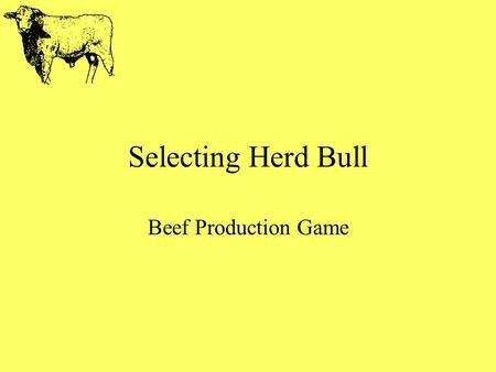 Selecting Herd Bull Beef Production Game. What is the job of our bull? Produce sperm Pass on quality genetics of rate of gain, muscling, structure Physically.