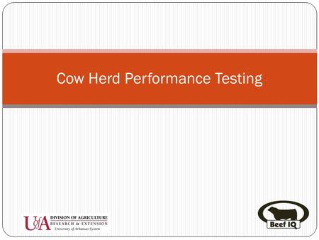 Cow Herd Performance Testing. Introduction Help evaluate economically important traits Calving ease Birth weight Weaning weight Calving interval Calf.