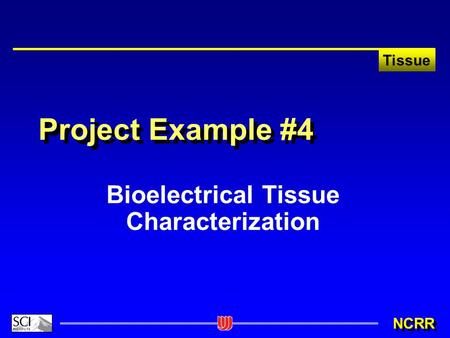 NCRR Tissue Project Example #4 Bioelectrical Tissue Characterization.