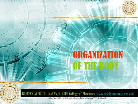 ORGANIZATION OF THE BODY ROSELYN APEROCHO NARANJO. USPF College of Pharmacy.