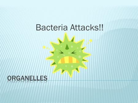 Bacteria Attacks!!.  To move the cell around (flagella)  Or move things around the cell (cilia)