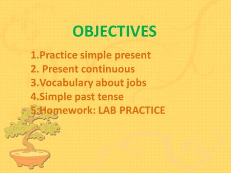 OBJECTIVES 1.Practice simple presentPractice simple present 2. Present continuous Present continuous 3.Vocabulary about jobsVocabulary about jobs 4.Simple.