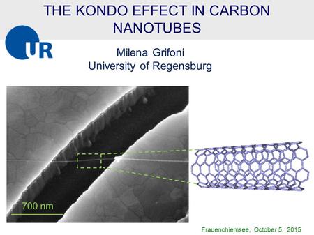 THE KONDO EFFECT IN CARBON NANOTUBES